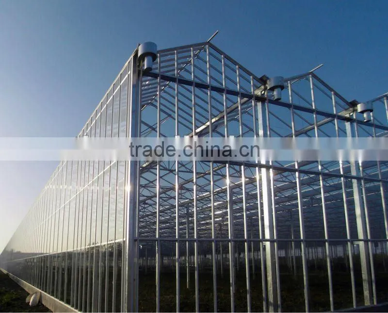 glass for greenhouse