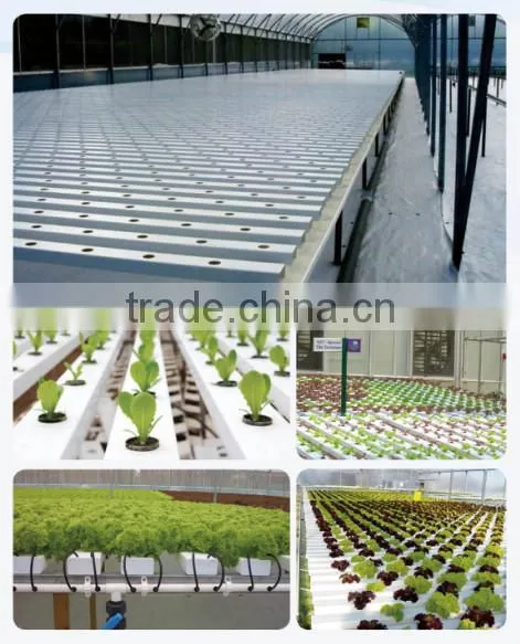Greenhouse Hydroponic Systems Net Pot for Lettuce