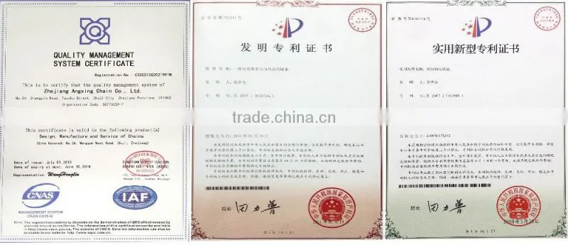 Zhejiang transmission drive roller chain 16b 1