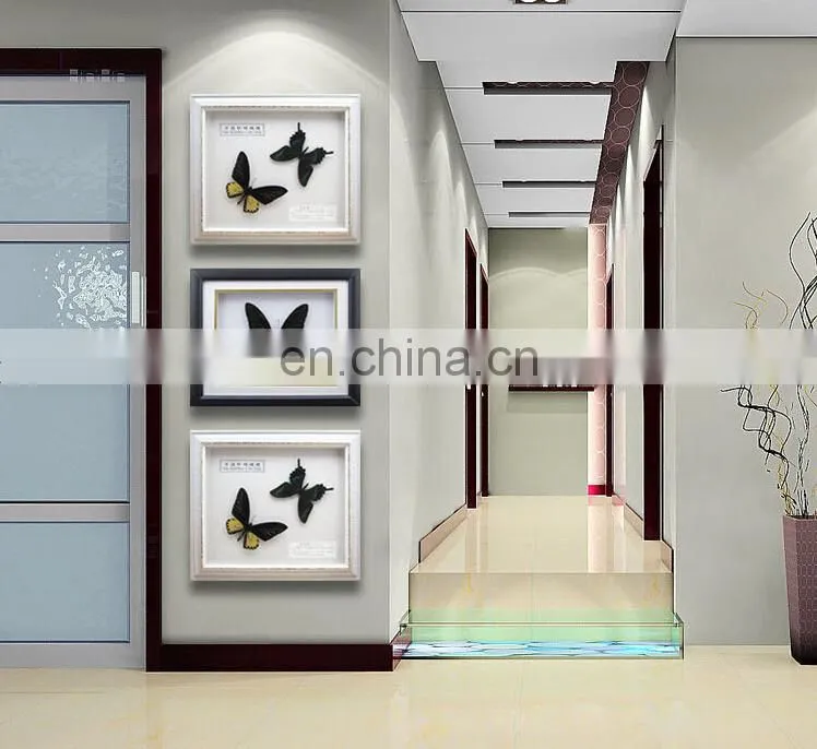Dry Framed Butterfly frame wholesale LOW MOQ Good quality