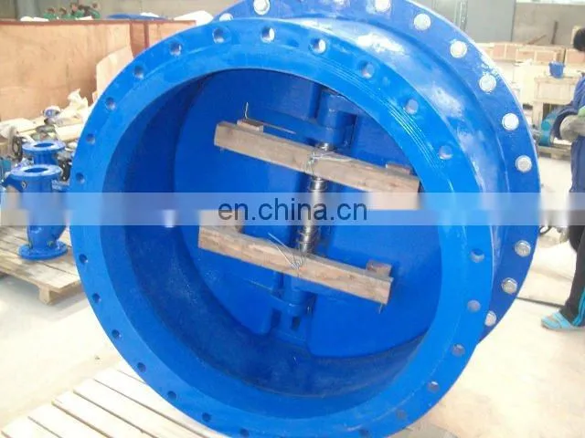 Water control Check Valve
