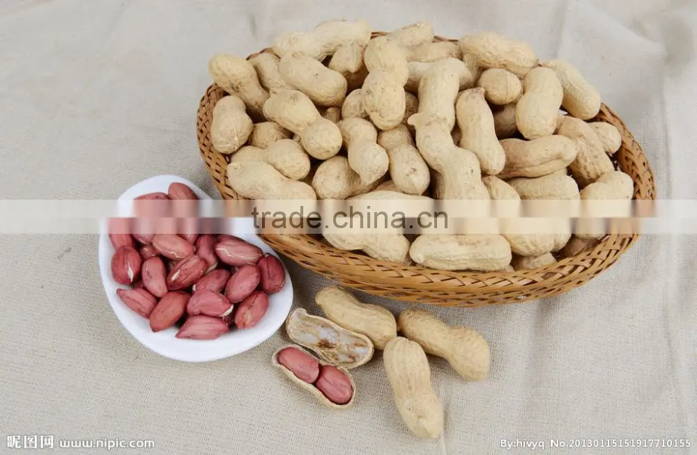 roasted and salted peanut