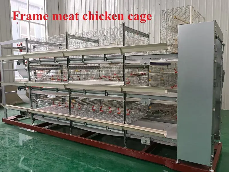 框架肉鸡笼2.jpg