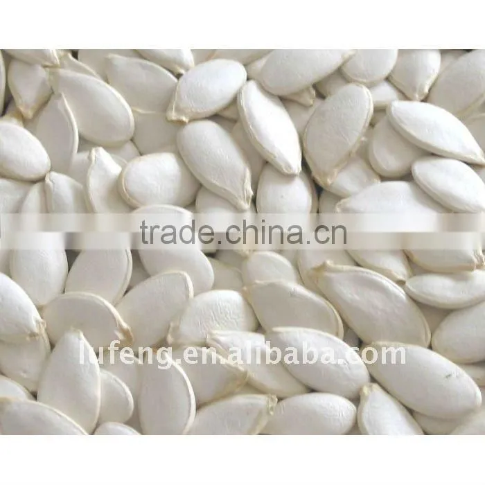 New Crop 2012 Chinese Green Pumpkin Seed kernel
