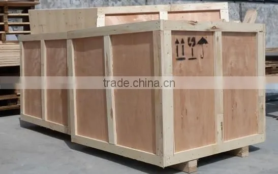 Double Chamber vacuum packing machine