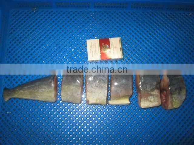 Frozen Mahi Mahi fish fillet