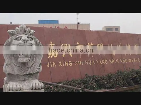 Jiaxing City Huayang Textile Dyeing And Finishing Co., Ltd. company overview - view 1