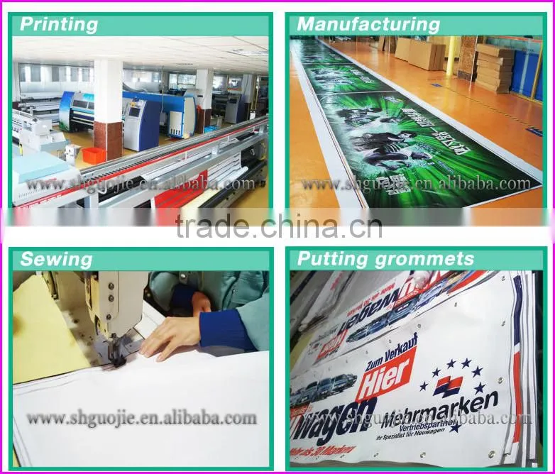 Backlit PVC Flex Banner/PVC Frontlit Banner Flex
