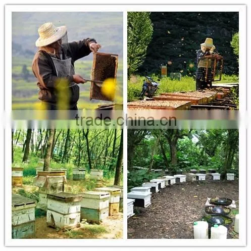Natural fragrance candle making wax