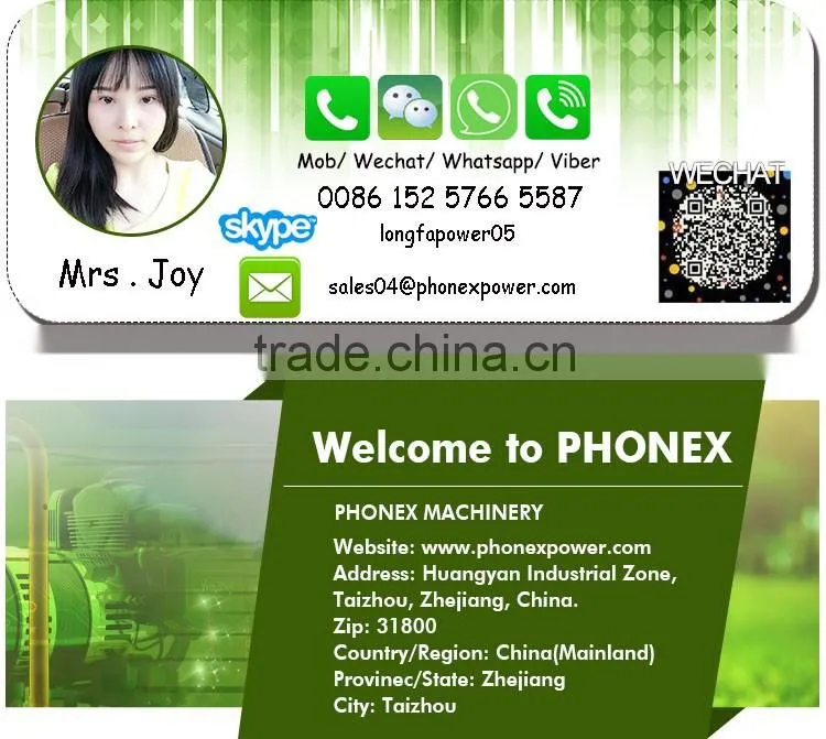 China Honda Engine GX160 168F Gasoline Engine 5.5HP Petrol Engine