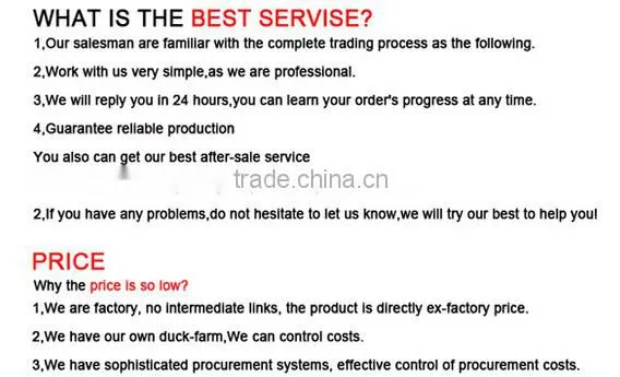 100 polyester fiber pillow 100 polyester fiber cushion