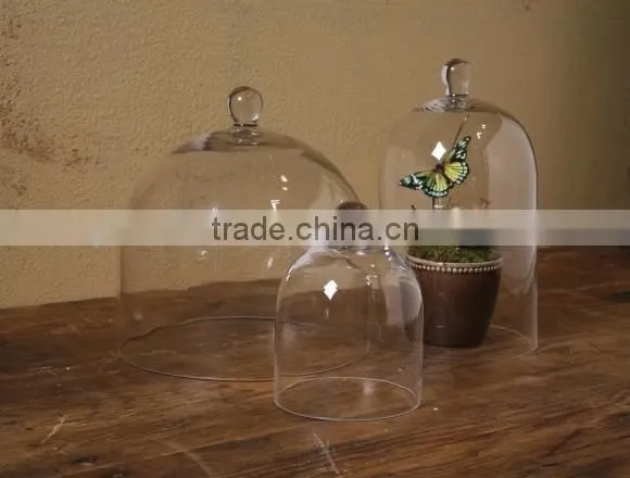 Wholesale glass bell cloche and glass cloches as glass dome with wooden base