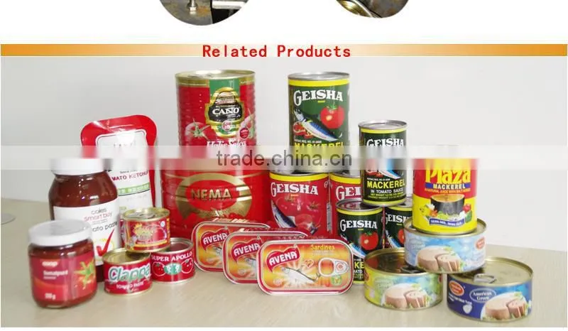 Tomato paste factory good quality/good service 70gX50tins