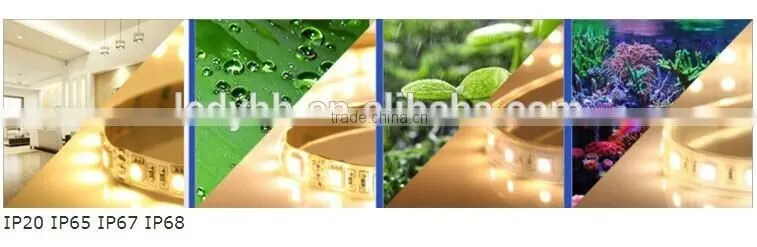 60ic/m 60leds/m digital waterproof flexible silicon glue led strip