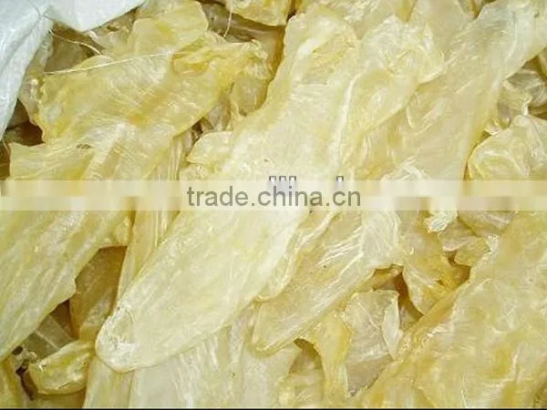 dried fish maw