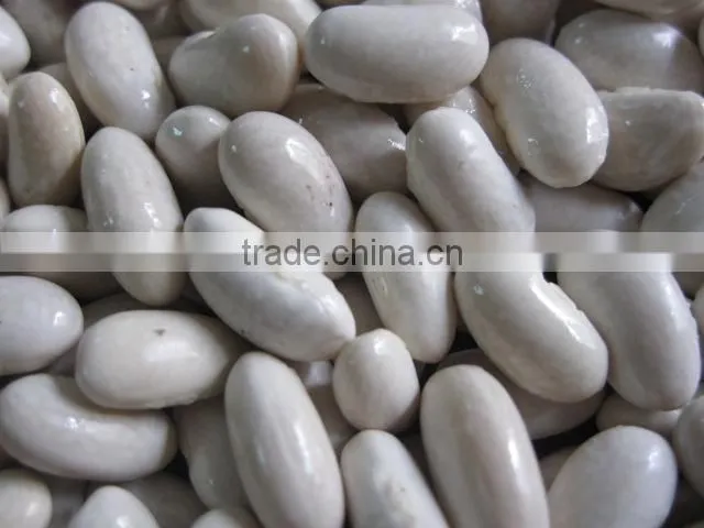 white kidney bean