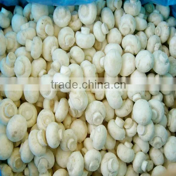 Frozen white champignon mushroom whole