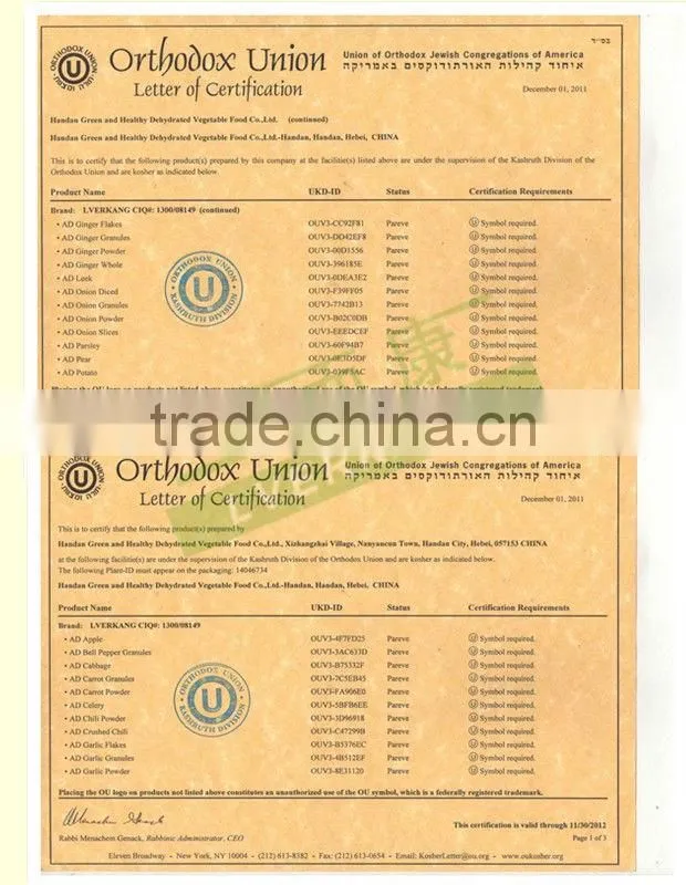 dried white or yellow onion powder plant