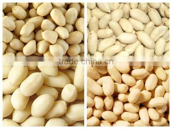 Shandong peanut kernels luhua 24/28