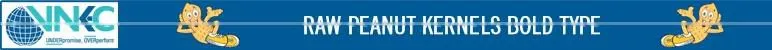 High Nutritional Value Healthy Raw Peanuts Kernel Dealer