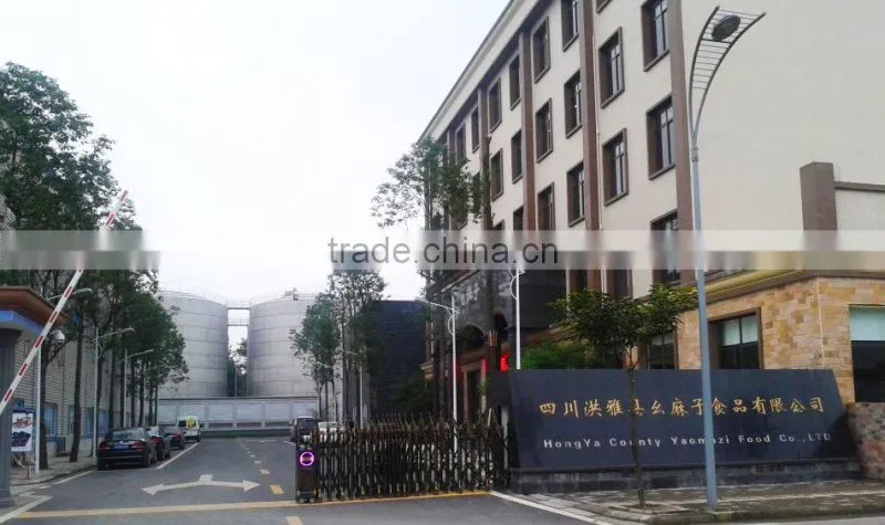 Sichuan Hongya County Yaomazi Food Co., Ltd. company overview - view 2