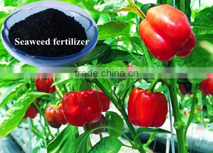 price agricultural NPK humic acid raw materail fertilizer