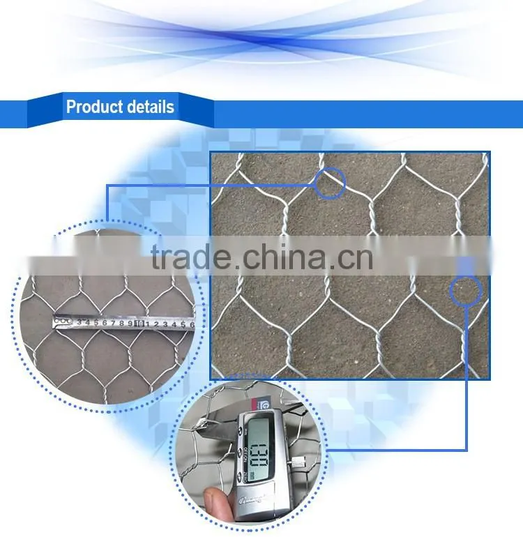 useful electric-galvanized hexagonal wire mesh