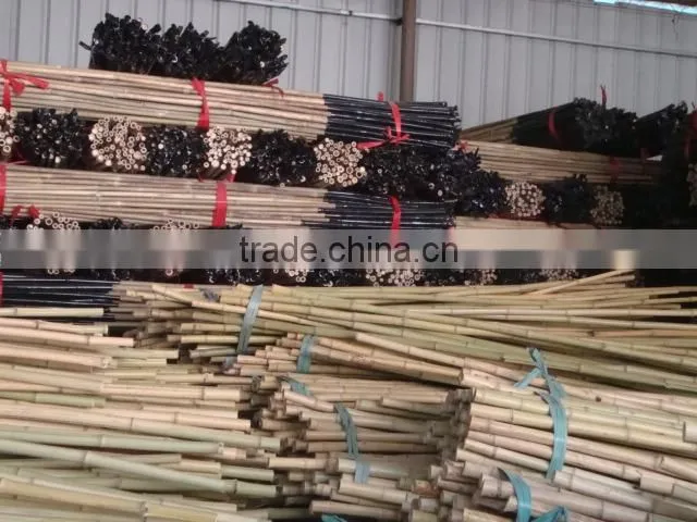 Excellent Quality Factory Price Bamboo Canes for Sale