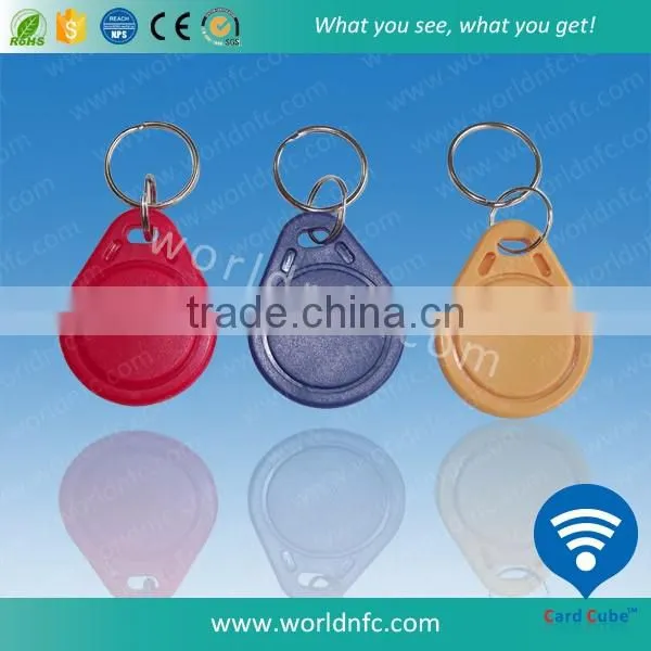 125KHz Passive ABS Material EM4100 RFID Keychain for Access Control System