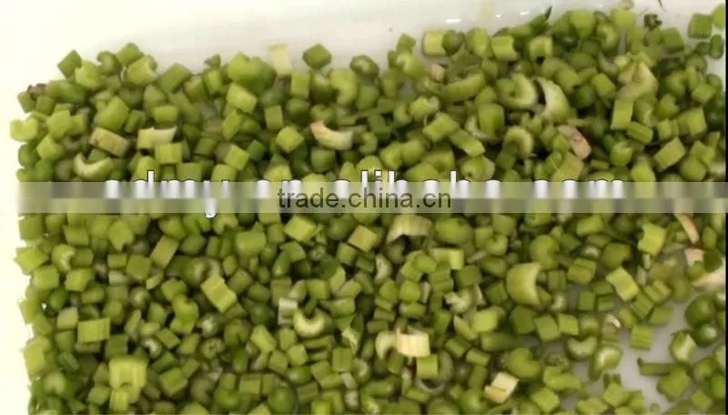 stainless steel material automatic leaf vegetable cutter