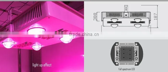 Cob Led grow lights 600 W indoor light to grow plants