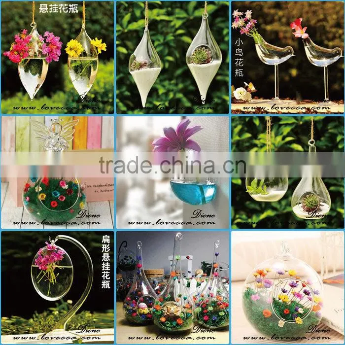 Wedding design shop garden decoration air plant hanging glass geometric terrarium