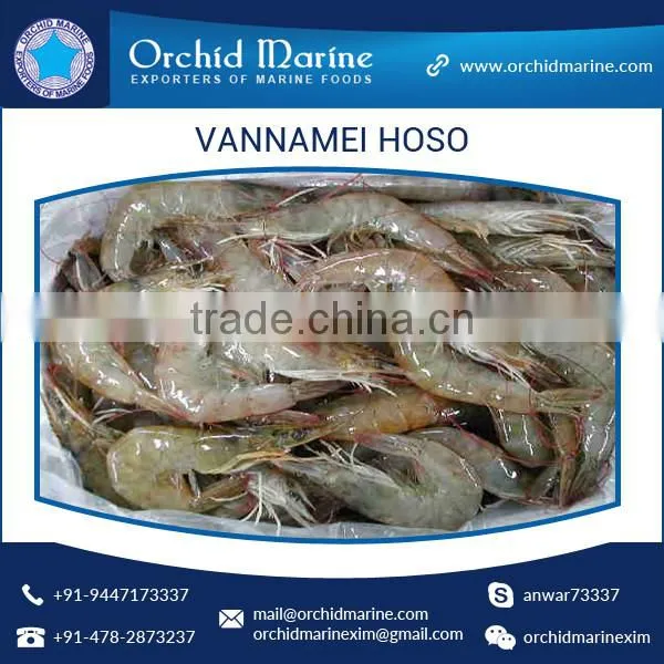 High Grade Hygienically Processed Frozen Vannamei Shrimps Price