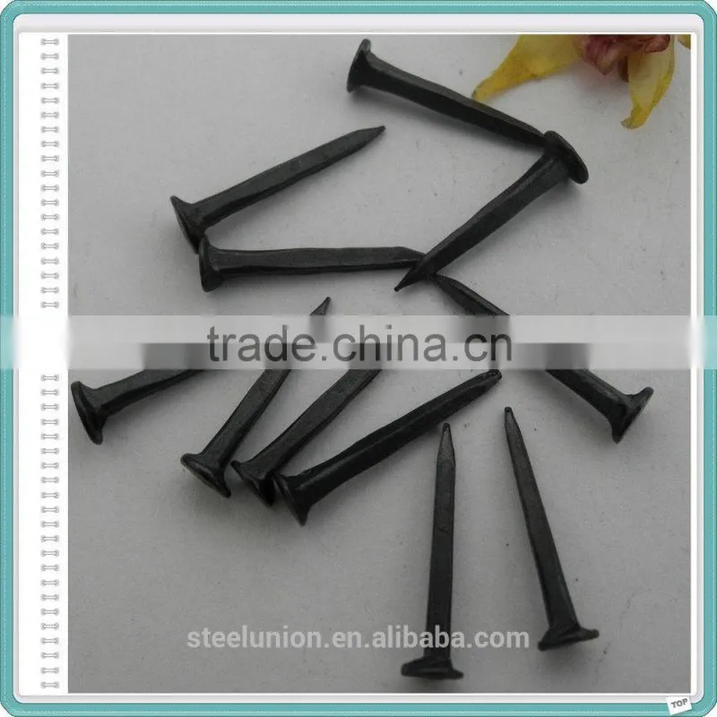 Blue Shoe Tack Nails Factory