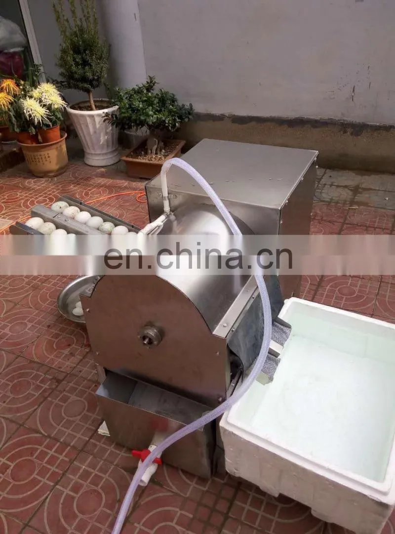 High efficient egg washer machine | egg cleaning machine | low price egg washing machine