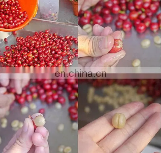 Coffee bean peeling machine in shellers/Cocoa Beans Peeling / PeelerMachine/coffee bean skin peeling machinery