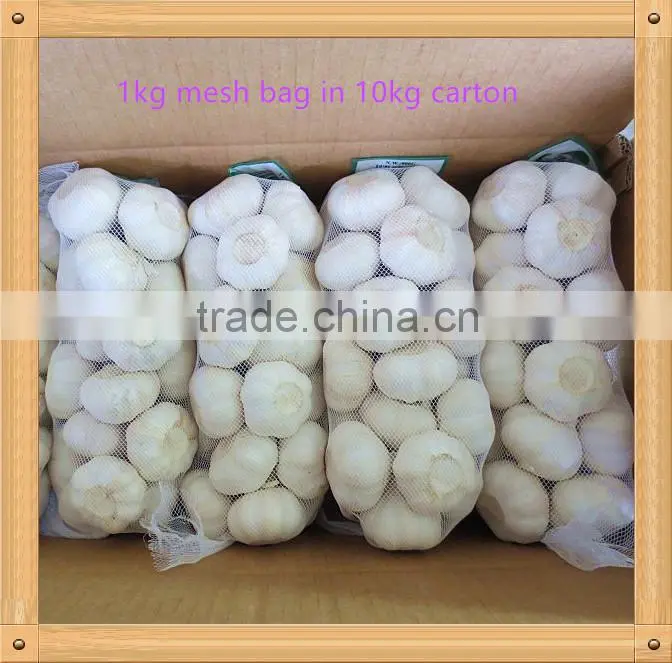 2016 Jinxiang fresh garlic