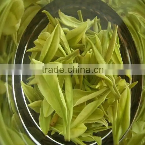 White Silver Needle,Organic best white slive needle tea ,famous brand white tea