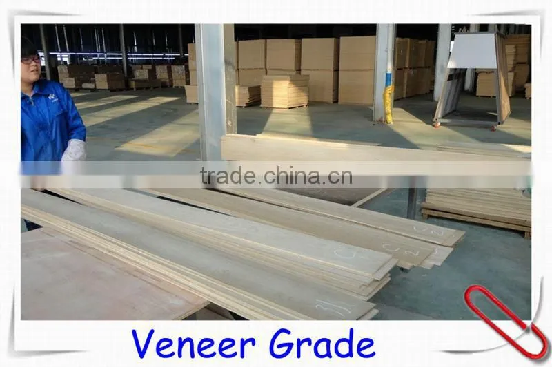 treffert uv Lacquered Ash wood flooring // Ash wood flooring // walnut colour Ash wood flooring