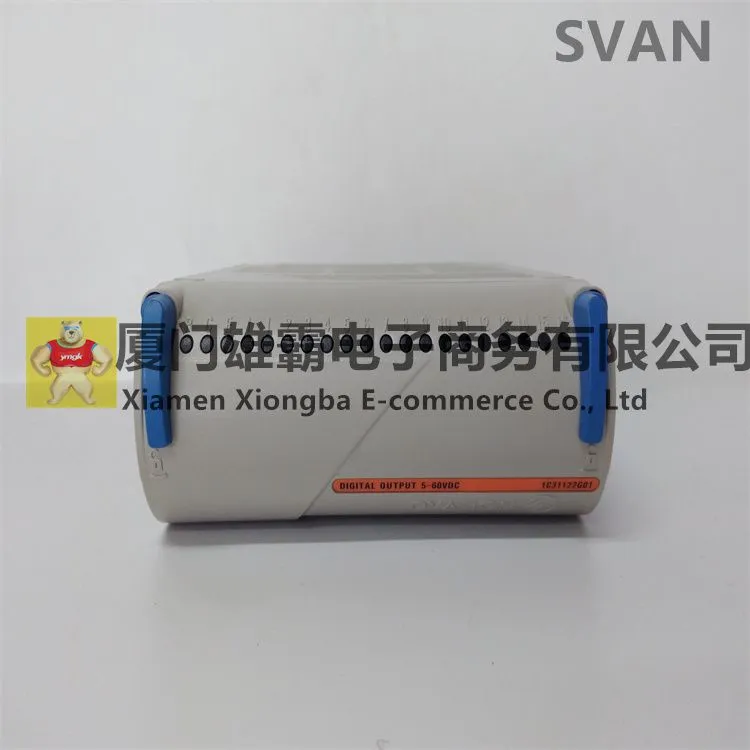 1C31122G01 (5).jpg