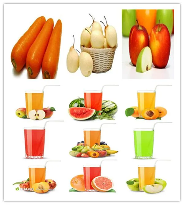 Industrial Cold Press Juicer/apple Juice Belt Press