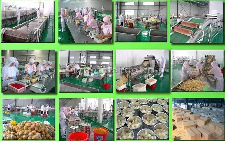 Commercial Canned Pineapple Process Line / Pineapple Slices Canning Machine