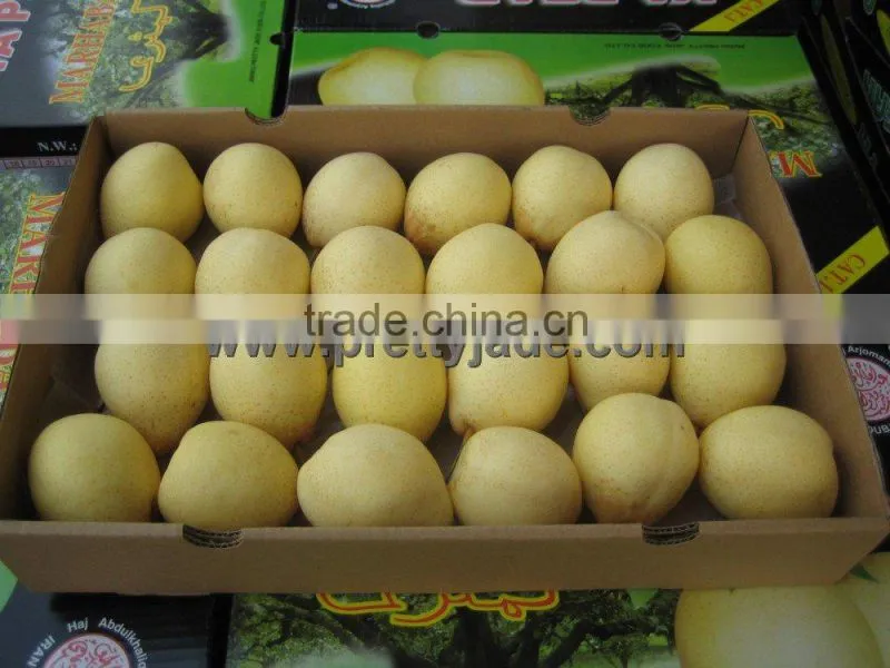 fresh Ya pear supplier