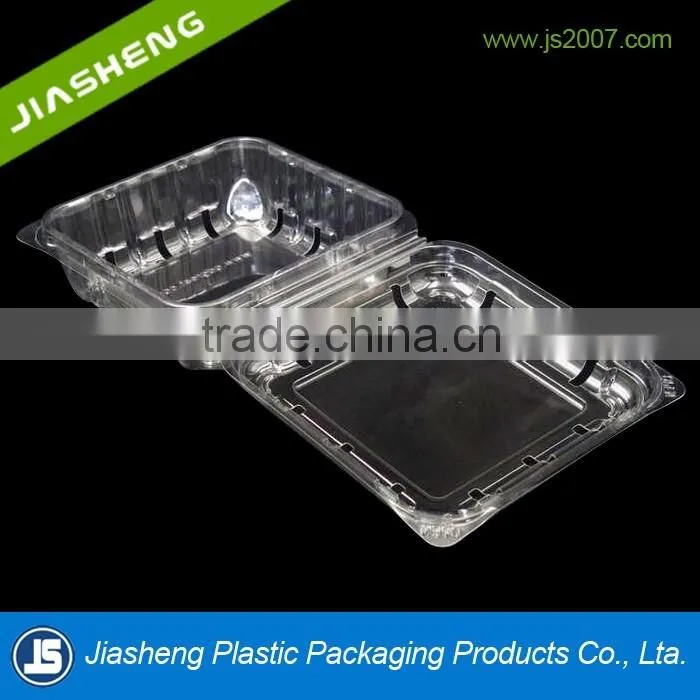 PET Clear plastic clamshell blueberry containers factory supplier