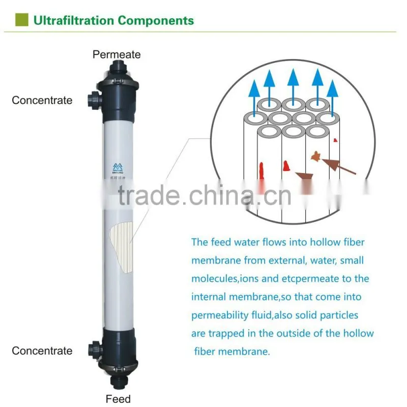 zhuhai new UFf160 cross flow hollow fiber membrane water filter module