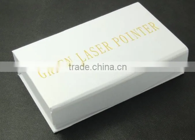 High Power Laser 303 301 Pointers Adjustable Focus Burning Match Lazer Pen Green Red Blue Violet Safe Key Free Battery e Charger