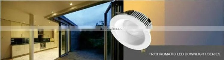 Latest Competitive 3w 6w 8w 10w LED Downlight Painted White