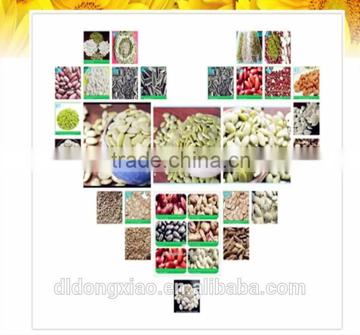 China, Hot Sale Raw Sunflower Seeds,2014