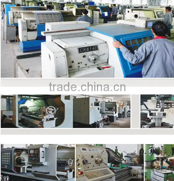 Stainless Steel 304 Hygienic Rotary Lobe Pumps