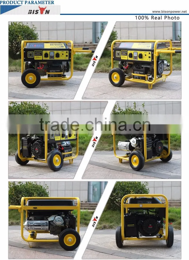 Bison China Taizhou OEM Factory All Kinds of LPG Gas Generator